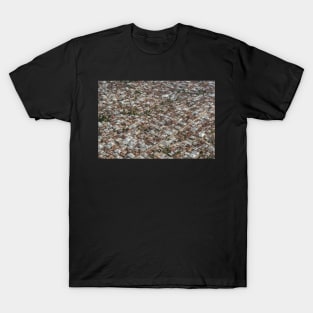 Stone Town Rooftops #2 T-Shirt